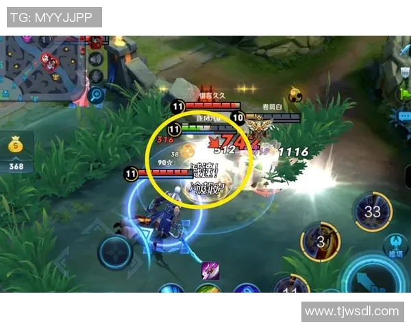 权威发布王者荣耀技术实力榜单全面解读与分析